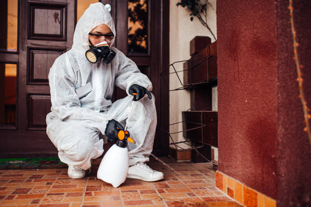 Attic and Crawl Space Rodent Treatment in Benson