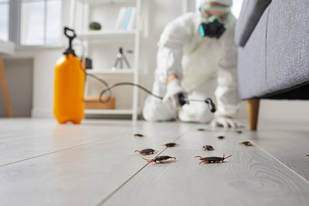 Commercial Rodent Management in Benson